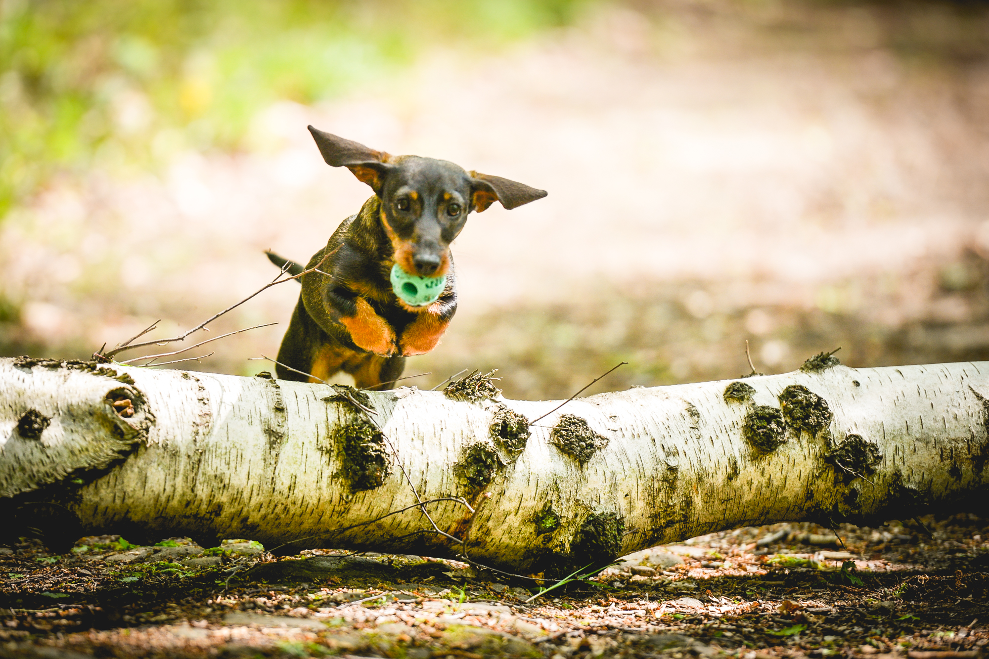 Tierarztpraxis-DrErben-Arztpraxis-Fotografie-Fotografie-Daniel-Dreyer-3